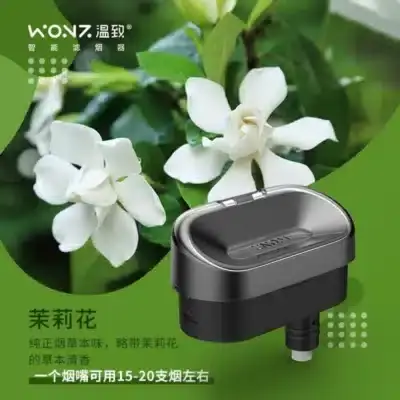 WONZ溫致專用濾嘴｜獨立包裝｜一盒2入｜適用WONZ主機-1