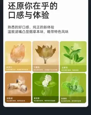 WONZ溫致專用濾嘴｜獨立包裝｜一盒2入｜適用WONZ主機-1