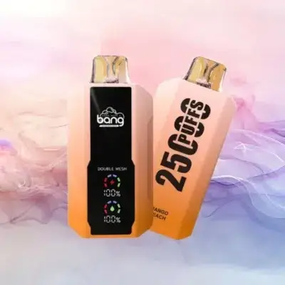 Bang 25000 Puffs｜超大屏幕可充電拋棄式電子煙 超大容量一次性煙桿-1