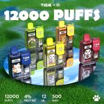 TISIC貓12000 Puffs一次性電子煙｜萌系大容量拋棄式主機